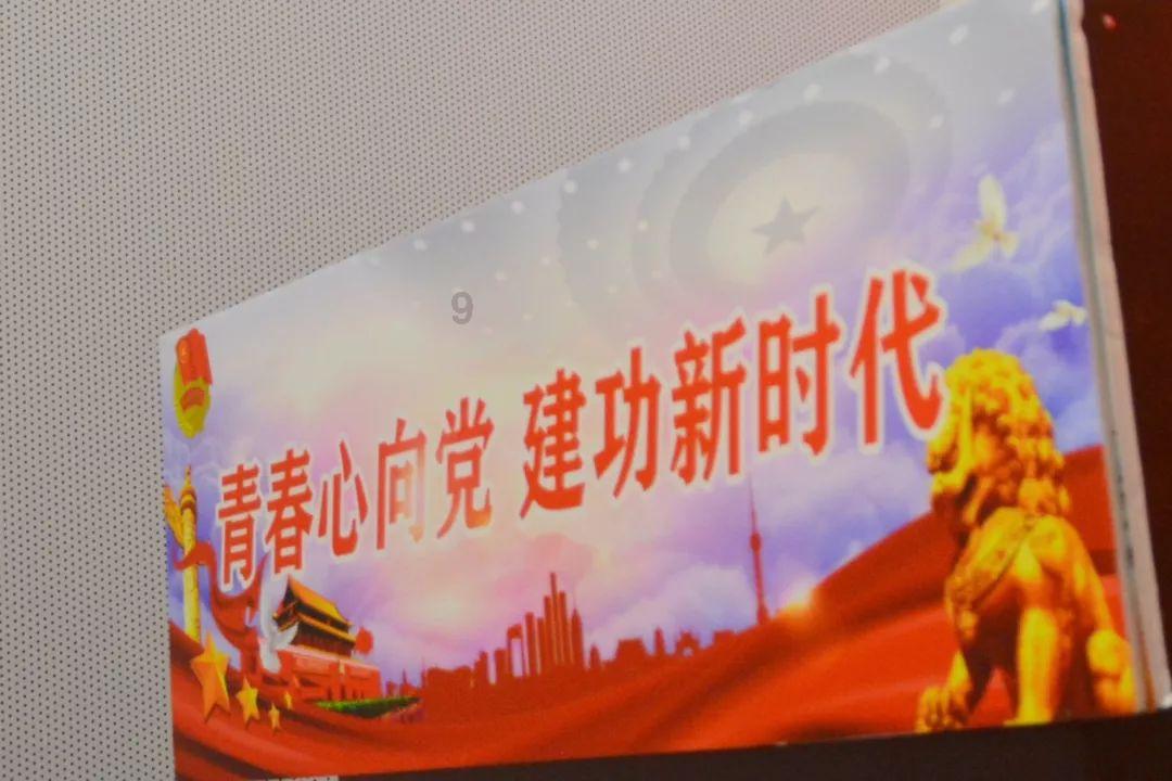 夏季就养耐晒多肉,越晒越好看,哪些多肉耐晒?-分享你的疑惑与心情